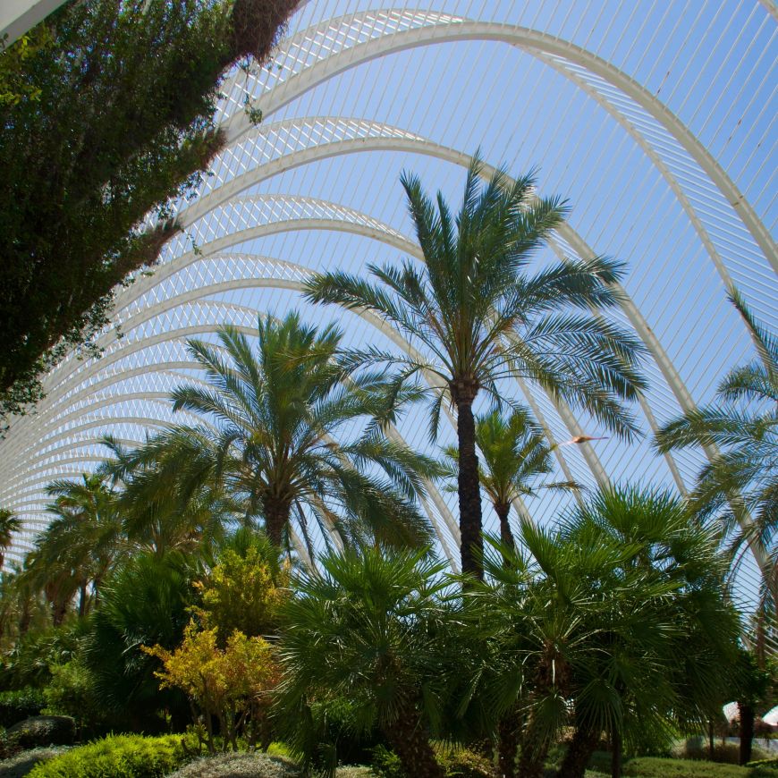 SLEEP’N Valencia, hospitalidad consciente en una ciudad que mira al futuro